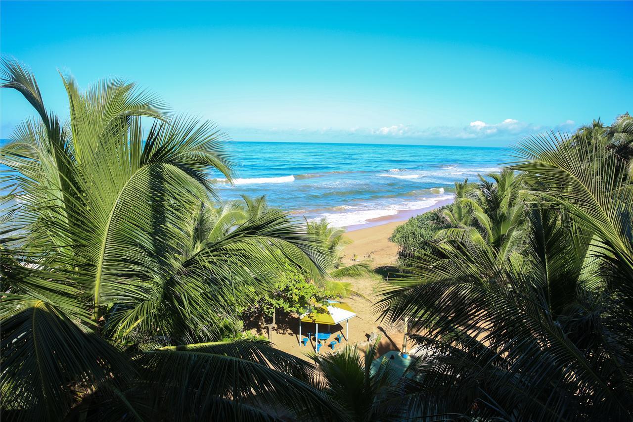 Oasey Ayurveda Hotel เบนโตตา ภายนอก รูปภาพ